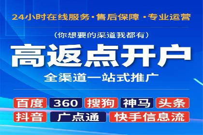 成功运用SEM服务实现品牌推广的案例分析