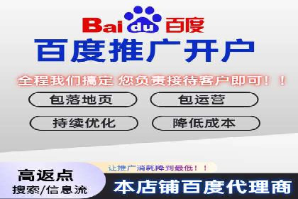 知名SEM服务公司成功案例分享